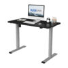 FLEXISPOT 42"x24" Ergonomic Home Office Electric Height Adjustable Desk Gray and Black
