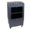 Dial Manufacturing 81060 3500-CFM 3-Speed Indoor/Outdoor Portable Evaporative Cooler for 1200-sq ft (Motor Included)