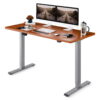 FLEXISPOT 55"x28" Ergonomic Home Office Electric Height Adjustable Standing Desk Gray and Mahogany