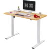 FlexiSpot Home Office Electric Height Adjustable Standing Desk 48" x 30" Computer Desk White Frame and Maple Top