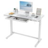 FlexiSpot 48" W Ergonomic Home Office Height Adjustable Standing Desk Tempered Glass Top White