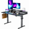 Electric Standing Desk with Double Drawers Height Adjustable 55"x28" Stand Up Desk with Monitor Shelf, Black