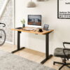 FLEXISPOT 48" x 30" Home Office Electric Height Adjustable Standing Desk Black and Maple Computer Desk