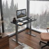 FLEXISPOT 48"x30" Home Office Electric Height Adjustable Standing Desk Computer Desk Gray and Black