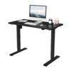 FLEXISPOT 42" x 24" Home Office Electric Height Adjustable Standing Desk Black Computer Desk
