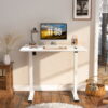 FlexiSpot 42" x 24" Ergonomic Home Office Electric Height Adjustable Desk White Frame+ White Top