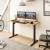 FLEXISPOT 55" x 28" Home Office Electric Height Adjustable Standing Desk Black and Maple Computer Desk