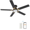 Smaair 52" 5-Blade Flush Mount Smart Ceiling Fan with Dim LED Light and Remote - Black/Gold