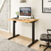 FLEXISPOT 42" x 24" Home Office Electric Height Adjustable Standing Desk Black and Maple Computer Desk