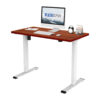 FLEXISPOT 42" x 24" Home Office Electric Height Adjustable Standing Desk Ergonomic 2-Button Controller Computer Desk Mahogany and White