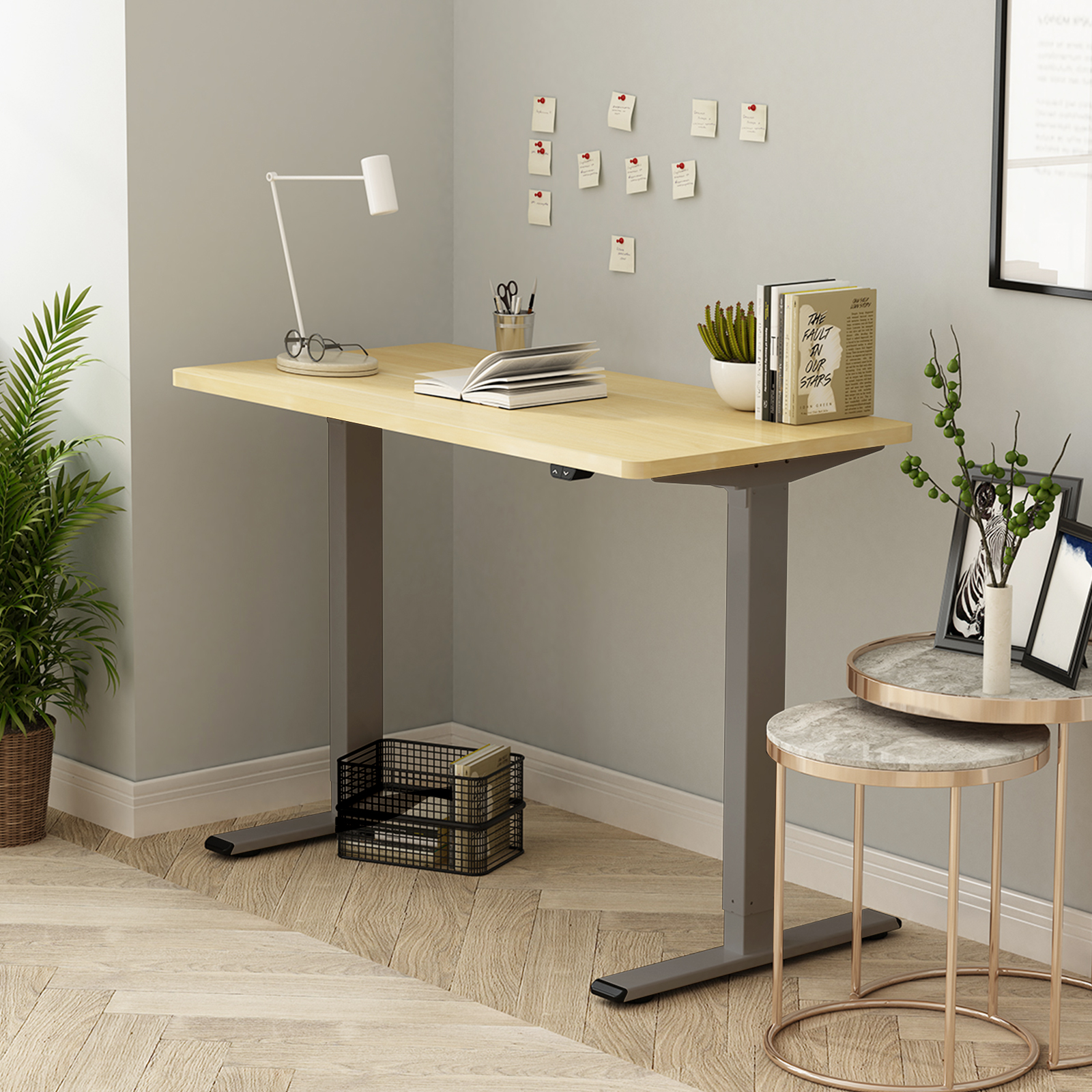 Flexispot EF1 review: What good is the height-adjustable desk?