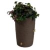 Good Ideas IMP-L50-OAK Impressions Palm 50 Gal. Oak Rain Barrel