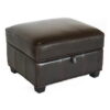 Baxton Studio Benvolio Leather Storage Ottoman - Dark Brown