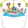 Fisher-Price Baby Bouncer Color Climbers Jumperoo Activity Center With Music Lights & Developmental Toys