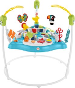 Fisher-Price Baby Bouncer Color Climbers Jumperoo Activity Center With Music Lights & Developmental Toys