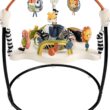 Fisher-Price Baby Bouncer Palm Paradise Jumperoo Activity Center With Music Lights Sounds And Developmental Toys