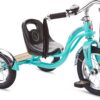 Schwinn Roadster Bike for Toddlers, Kids Classic Tricycle, Boys and Girls Ages 2 - 4 Years Old, Steel Trike Frame, Rear Deck Made of Genuine Wood, & Fabric Tassels, Teal
