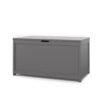 Forever Eclectic Harmony 32" Kids Toy Box Storage Chest, Cool Gray