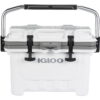 IGLOO IMX 24 qt. Hard Cooler - White