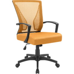 Lacoo Mid-Back Office Desk Chair Ergonomic Mesh Task Chair with Lumbar Support, Orange