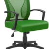 Lacoo Mid-Back Office Desk Chair Ergonomic Mesh Task Chair with Lumbar Support, Green