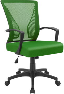 Lacoo Mid-Back Office Desk Chair Ergonomic Mesh Task Chair with Lumbar Support, Green