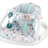 Fisher-Price Portable Baby Chair Sit-Me-Up Floor Seat With Developmental Toys & Machine Washable Seat Pad, Pacific Pebble