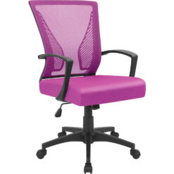Lacoo Mid-Back Office Desk Chair Ergonomic Mesh Task Chair with Lumbar Support, Pink