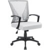 Lacoo Mid-Back Office Desk Chair Ergonomic Mesh Task Chair with Lumbar Support, White