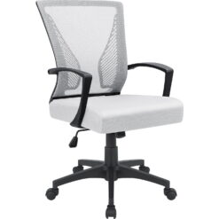 Lacoo Mid-Back Office Desk Chair Ergonomic Mesh Task Chair with Lumbar Support, White