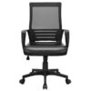 Smile Mart Adjustable Midback Ergonomic Mesh Office Chair with Lumbar Support, Black Seat