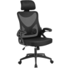 SmileMart Ergonomic Mesh Office Chair High Back, Black