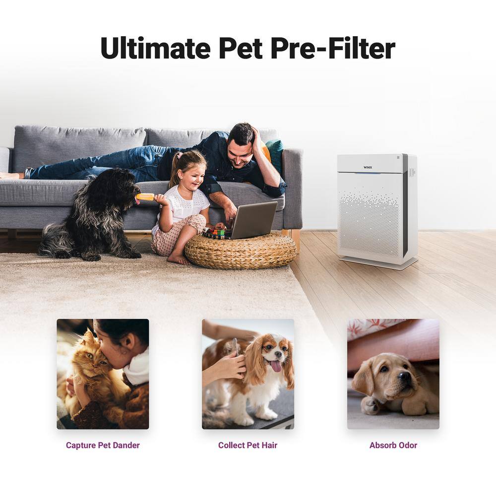 whites-winix-personal-air-purifiers-1022-0164-12-1f_1200.jpg