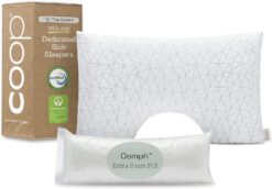 Coop Home Goods Cut-Out Side Sleeper Pillow - Notch Memory Foam Pillow, Cervical Pillow for Side Sleepers, Neck Pillows for Pain Relief Sleeping, Ergonomic Pillow, Bed Pillow for Sleeping (King Size)