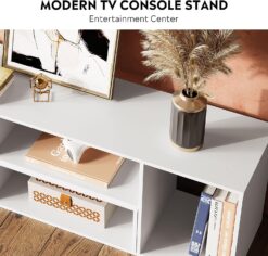 DEVAISE Flat Screen TV Stand for 43 45 55 inch TV, Modern Entertainment Center with Storage Shelves