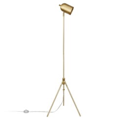 Evelyn&Zoe Modern 56 in 1-Light Adjustable Height Floor Lamp, Gold