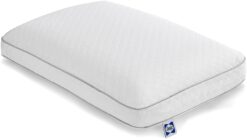 Sealy Essentials Pillow, Standard, White 2 Count