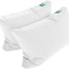 Sleepgram Bed Support Adjustable Hypoallergenic Cool Sleeping Loft Soft Pillow with Removeable Microfiber Cover, Queen Size, White (2 Pack)