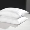 downluxe Goose Feather Down Pillow - Set of 2 Bed Pillows for Sleeping with Premium Cooling Bamboo Shell, Queen Size (20x28)