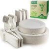 BIRCHIO 250 Piece Biodegradable Paper Plates Set (EXTRA LONG UTENSILS), Disposable Dinnerware Set, Eco Friendly Compostable Plates & Utensil include Plates, Forks, Knives and Spoons for Party