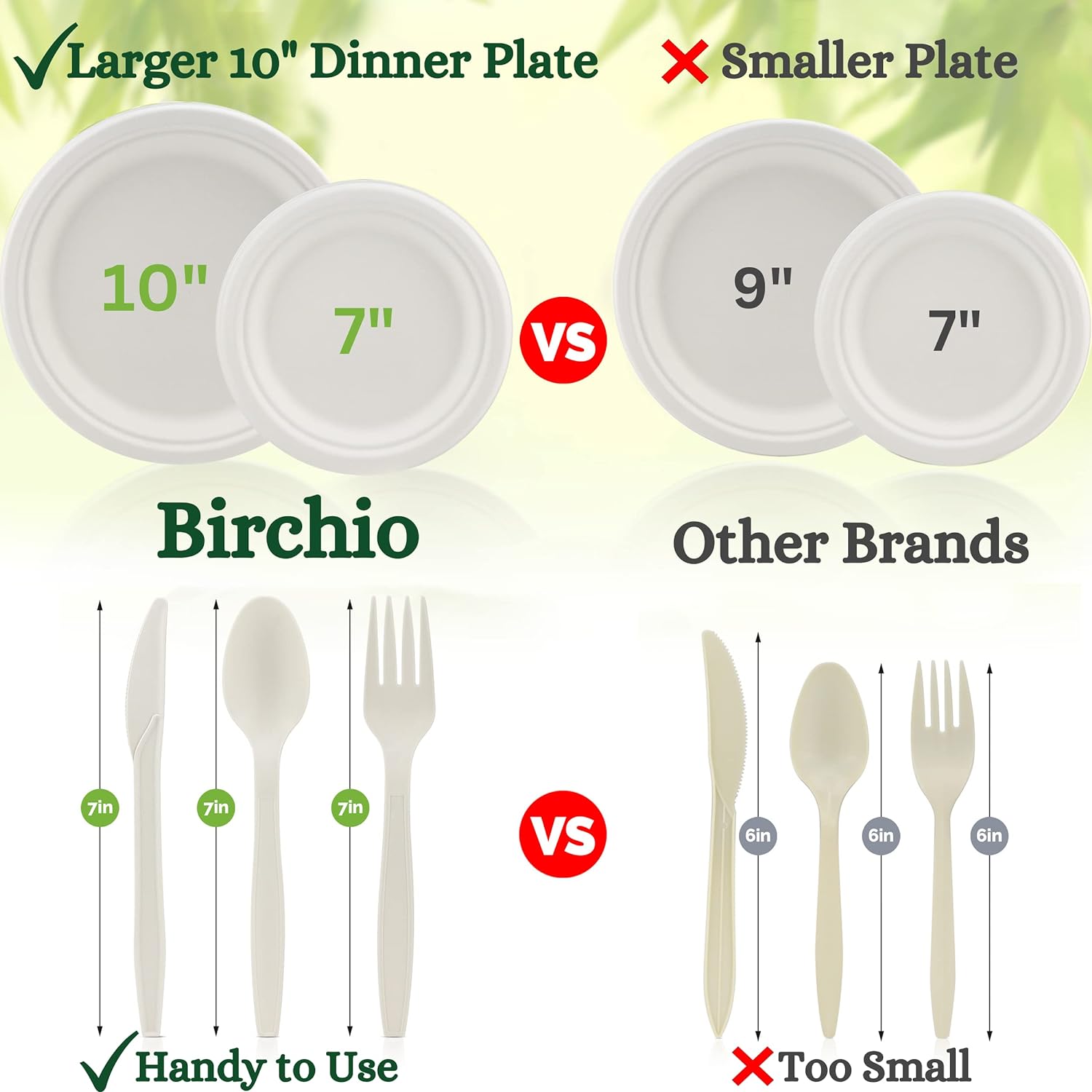 Large Paper Plates - Set of 10