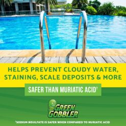 EcoClean Solutions Green Gobbler pH Down Pool & Hot Tub Spa pH Reducer pH decreaser Sodium Bisulfate 25 lb Pail