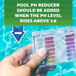 EcoClean Solutions Green Gobbler pH Down Pool & Hot Tub Spa pH Reducer pH decreaser Sodium Bisulfate 25 lb Pail