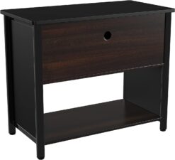 GDLF Metal Aquarium Stand with Cabinet for Fish Tank Accessories Storage, 40 Gallon, Turtle Reptile Terrariums