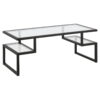 Hudson & Canal Zander Coffee Table