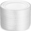 Munfix 100 Piece Plastic Party Plates White Silver Rim, Premium Heavy Duty 10.25 Inch Dinner Plates Elegant Fancy Heavy Duty Disposable Wedding Plates