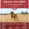 Open Farm Ancient Grains Dry Dog Food, Humanely Raised Meat Recipe with Wholesome Grains and No Artificial Flavors or Preservatives (Grass-Fed Beef Ancient Grain, 22 Pound (Pack of 1))