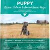 Open Farm Ancient Grains Dry Dog Food, Humanely Raised Meat Recipe with Wholesome Grains and No Artificial Flavors or Preservatives (Puppy Ancient Grain, 22 Pound (Pack of 1))