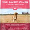 Open Farm Ancient Grains Dry Dog Food, Humanely Raised Meat Recipe with Wholesome Grains and No Artificial Flavors or Preservatives (Wild Salmon Ancient Grain, 22 Pound (Pack of 1))