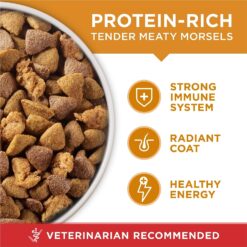 Purina ONE Chicken and Rice Formula Dry Dog Food - 40 lb. Bag